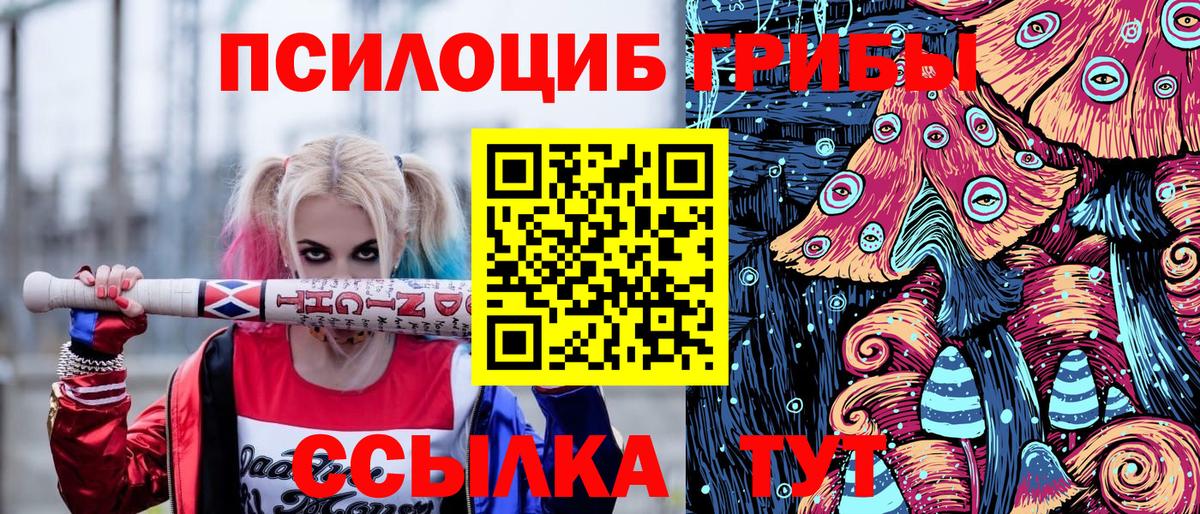 Галлюциногенные грибы GOLDEN TEACHER  Вход с VPN  как найти   Камышлов 