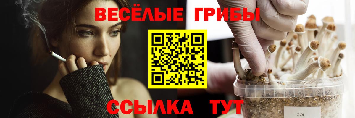 Псилоцибиновые грибы мухоморы Камышлов